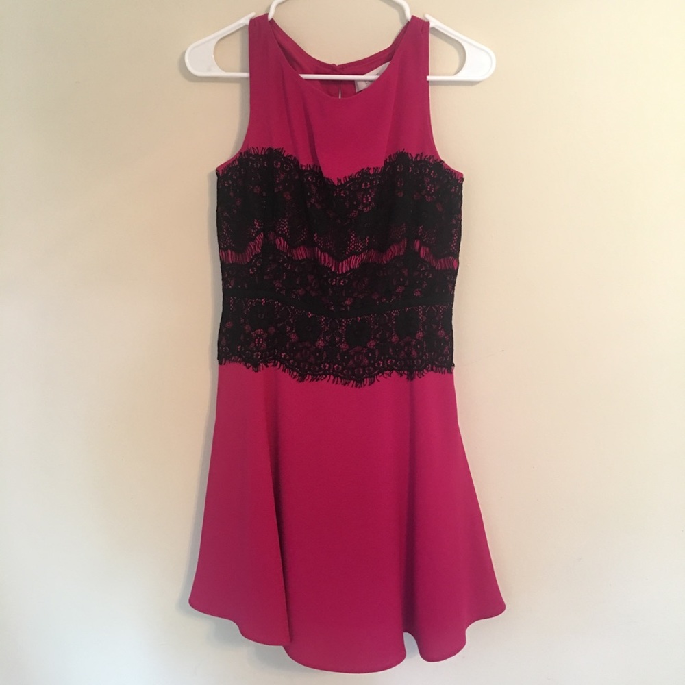 LOFT Mini Skater Dress with Lace Detail